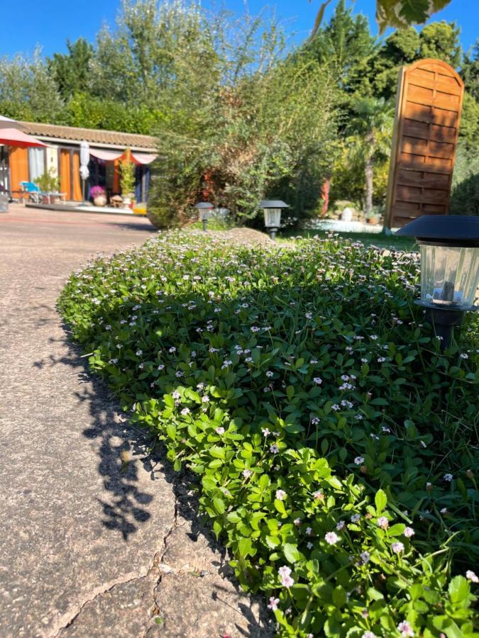 Mas De La Butte Blanche Bed & Breakfast Orgon Exterior foto
